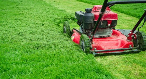 landscaping landscaping